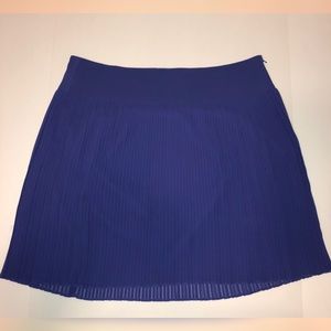 Loft Purple Pleated Skirt